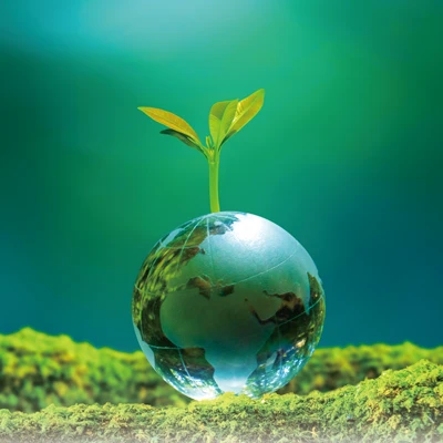 Reducing Carbon Footprint with Air Source Heat Pumps